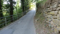 foto escursione